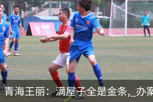 青海王丽：满屋子全是金条, 办案人员数到手抖, 丈夫受不了提前离场